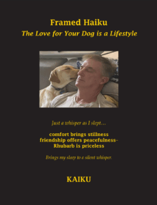 A loving embrace between a man and his dog, celebrating their bond.