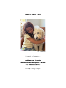 Girl hugging fluffy dog affectionately on couch.